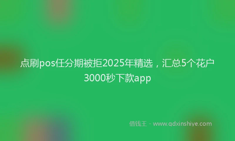 点刷pos任分期被拒2025年精选，汇总5个花户3000秒下款app