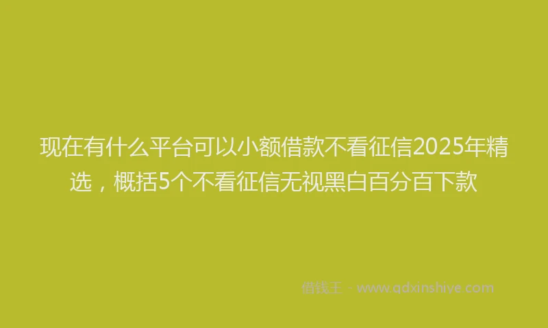 现在有什么平台可以小额借款不看征信2025年精选，概括5个不看征信无视黑白百分百下款
