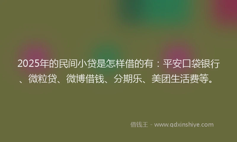2025年的民间小贷是怎样借的有:平安口袋银行、微粒贷、微博借钱、分期乐、美团生活费等。