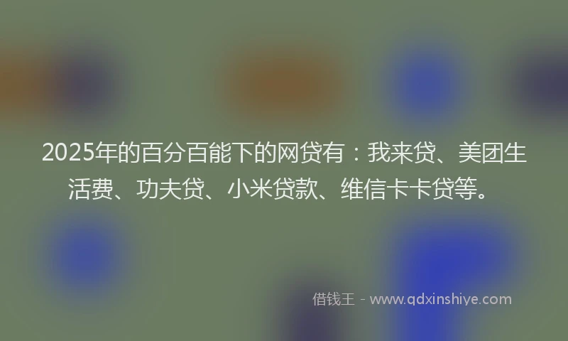 2025年的百分百能下的网贷有：我来贷、美团生活费、功夫贷、小米贷款、维信卡卡贷等。