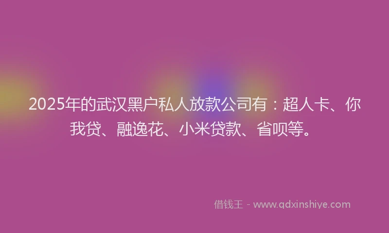 2025年的武汉黑户私人放款公司有：超人卡、你我贷、融逸花、小米贷款、省呗等。