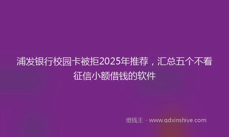 浦发银行校园卡被拒2025年推荐，汇总五个不看征信小额借钱的软件