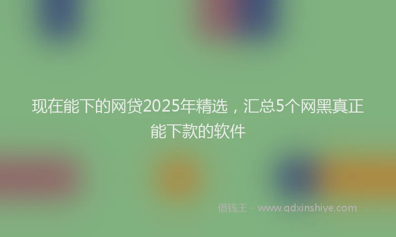 现在能下的网贷2025年精选，汇总5个网黑真正能下款的软件