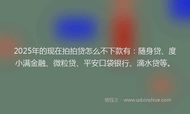 2025年的现在拍拍贷怎么不下款有：随身贷、度小满金融、微粒贷、平安口袋银行、滴水贷等。
