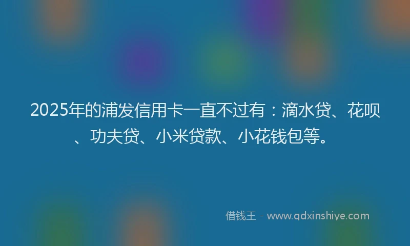 2025年的浦发信用卡一直不过有：滴水贷、花呗、功夫贷、小米贷款、小花钱包等。