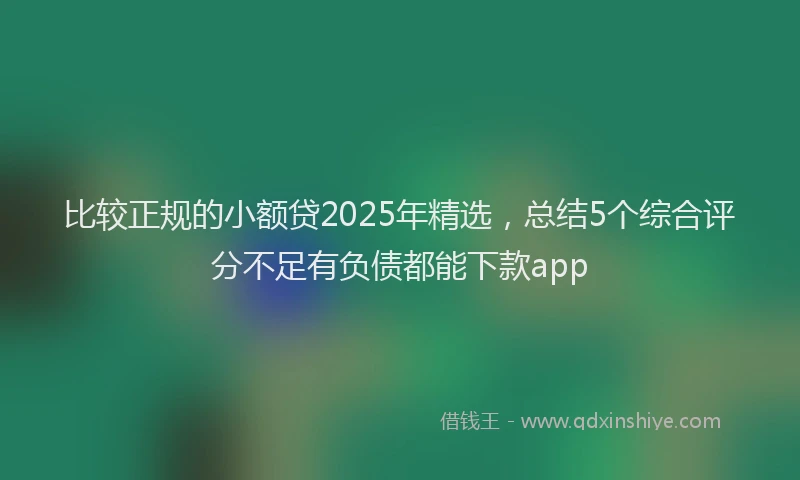 比较正规的小额贷2025年精选，总结5个综合评分不足有负债都能下款app