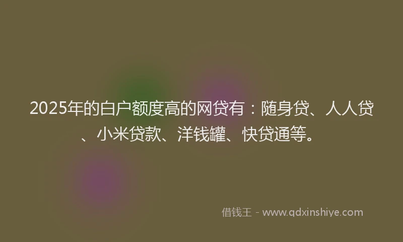 2025年的白户额度高的网贷有：随身贷、人人贷、小米贷款、洋钱罐、快贷通等。