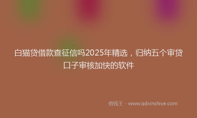 白猫贷借款查征信吗2025年精选，归纳五个审贷口子审核加快的软件