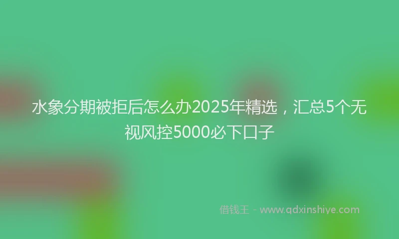 水象分期被拒后怎么办2025年精选，汇总5个无视风控5000必下口子