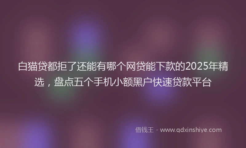 白猫贷都拒了还能有哪个网贷能下款的2025年精选，盘点五个手机小额黑户快速贷款平台