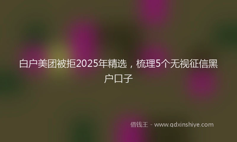 白户美团被拒2025年精选，梳理5个无视征信黑户口子