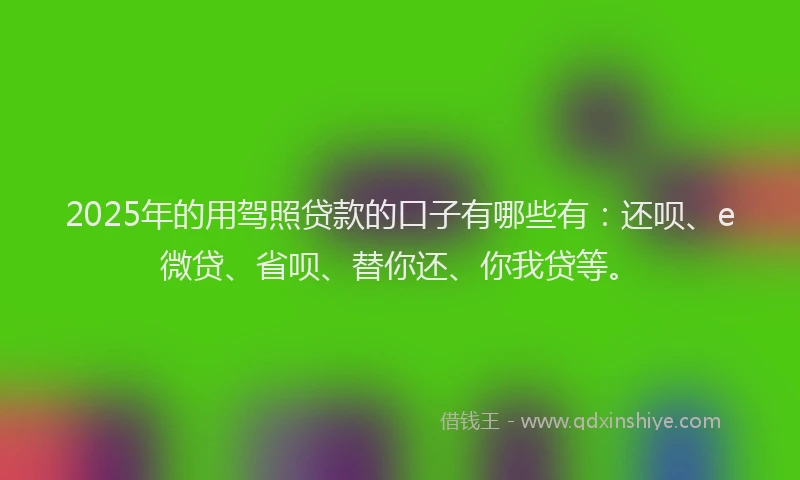 2025年的用驾照贷款的口子有哪些有：还呗、e微贷、省呗、替你还、你我贷等。