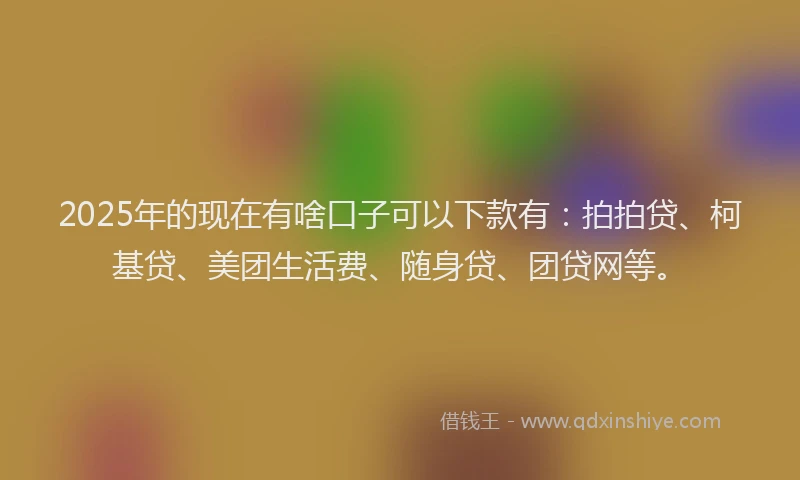 2025年的现在有啥口子可以下款有：拍拍贷、柯基贷、美团生活费、随身贷、团贷网等。