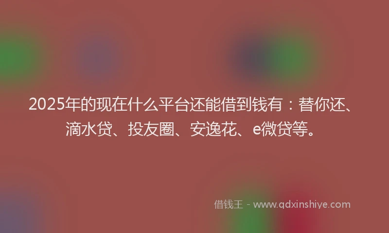 2025年的现在什么平台还能借到钱有：替你还、滴水贷、投友圈、安逸花、e微贷等。