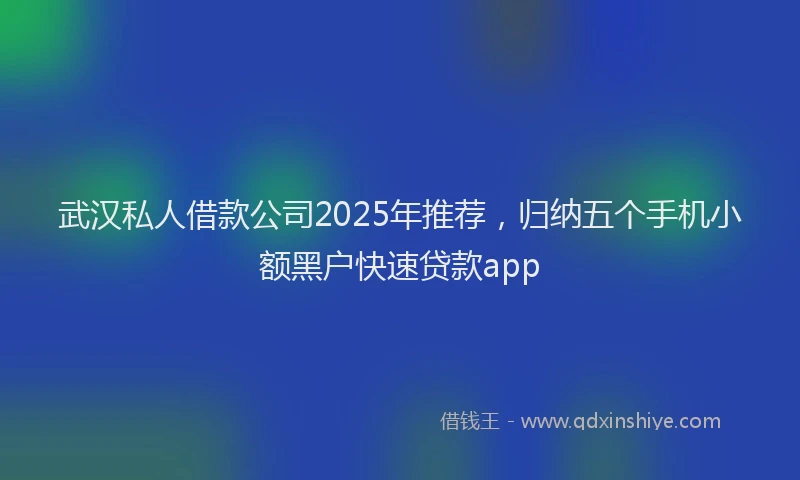 武汉私人借款公司2025年推荐，归纳五个手机小额黑户快速贷款app