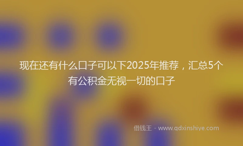 现在还有什么口子可以下2025年推荐，汇总5个有公积金无视一切的口子