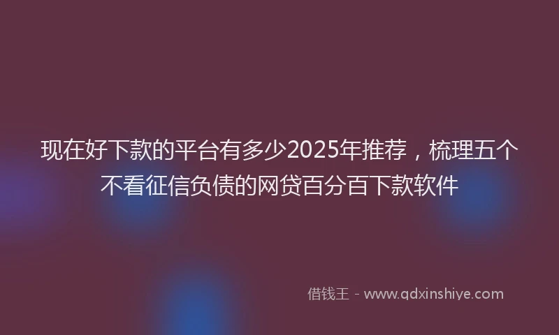 现在好下款的平台有多少2025年推荐，梳理五个不看征信负债的网贷百分百下款软件