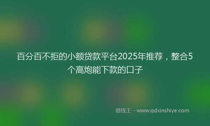 百分百不拒的小额贷款平台2025年推荐，整合5个高炮能下款的口子