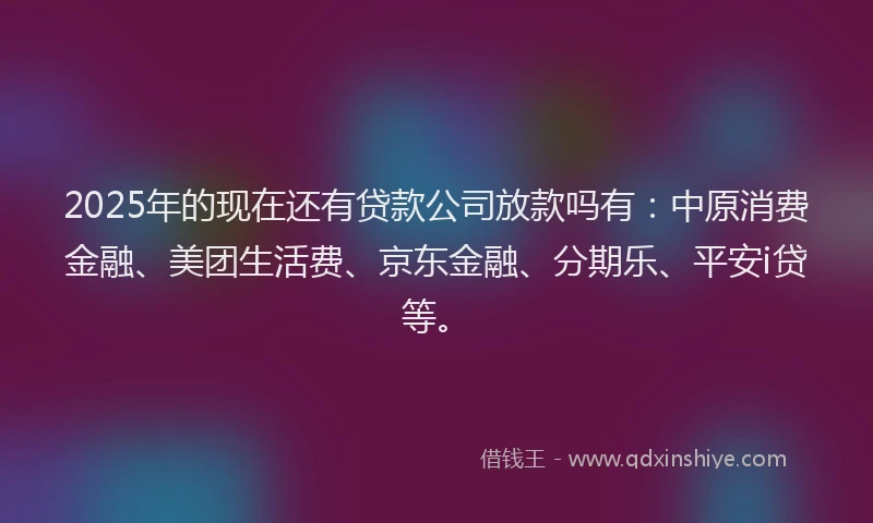 2025年的现在还有贷款公司放款吗有：中原消费金融、美团生活费、京东金融、分期乐、平安i贷等。