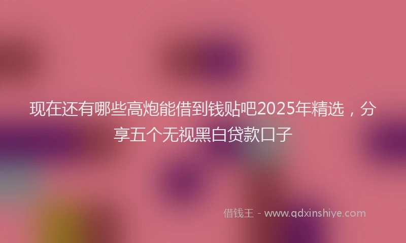现在还有哪些高炮能借到钱贴吧2025年精选，分享五个无视黑白贷款口子