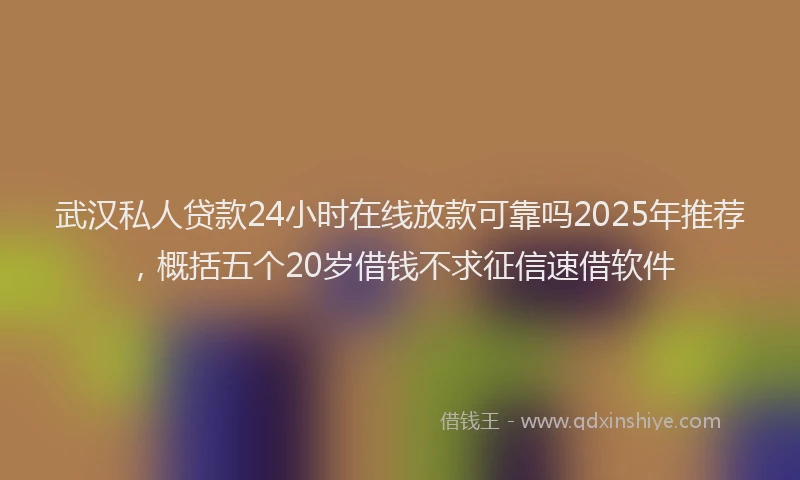 武汉私人贷款24小时在线放款可靠吗2025年推荐，概括五个20岁借钱不求征信速借软件