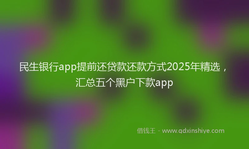 民生银行app提前还贷款还款方式2025年精选，汇总五个黑户下款app