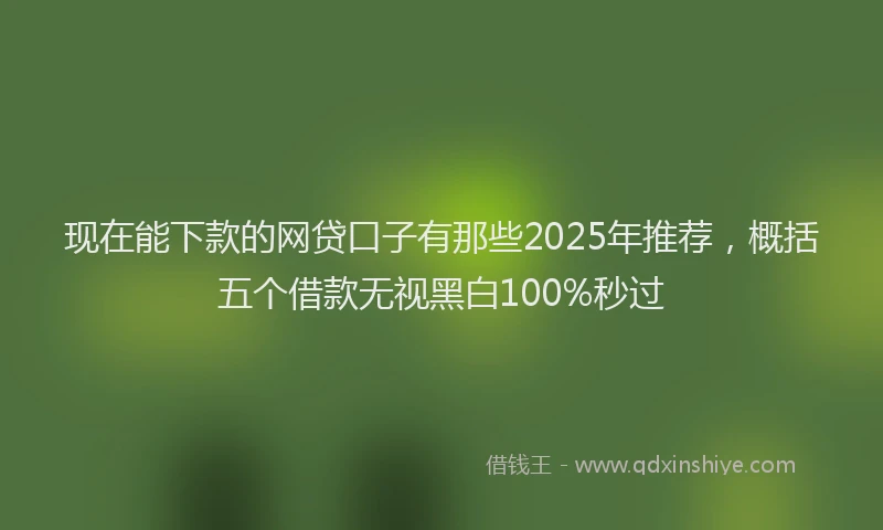 现在能下款的网贷口子有那些2025年推荐，概括五个借款无视黑白100%秒过