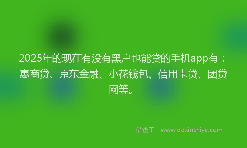 2025年的现在有没有黑户也能贷的手机app有：惠商贷、京东金融、小花钱包、信用卡贷、团贷网等。