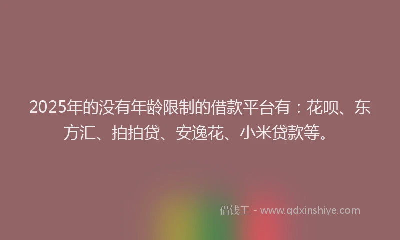 2025年的没有年龄限制的借款平台有：花呗、东方汇、拍拍贷、安逸花、小米贷款等。