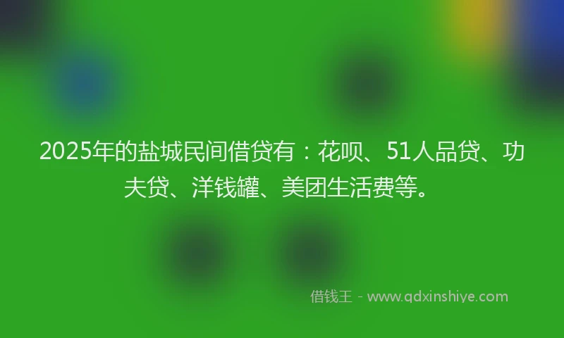 2025年的盐城民间借贷有：花呗、51人品贷、功夫贷、洋钱罐、美团生活费等。