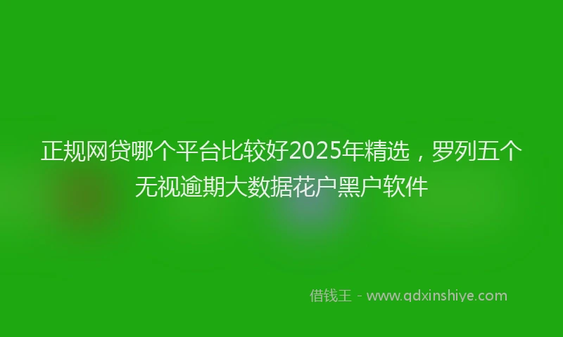 正规网贷哪个平台比较好2025年精选，罗列五个无视逾期大数据花户黑户软件