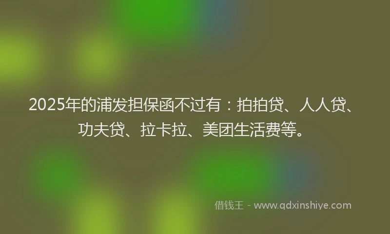 2025年的浦发担保函不过有：拍拍贷、人人贷、功夫贷、拉卡拉、美团生活费等。