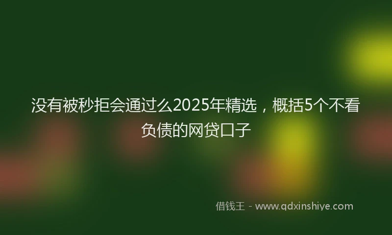 没有被秒拒会通过么2025年精选，概括5个不看负债的网贷口子