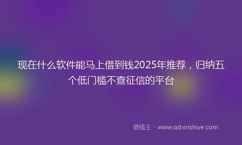 现在什么软件能马上借到钱2025年推荐，归纳五个低门槛不查征信的平台