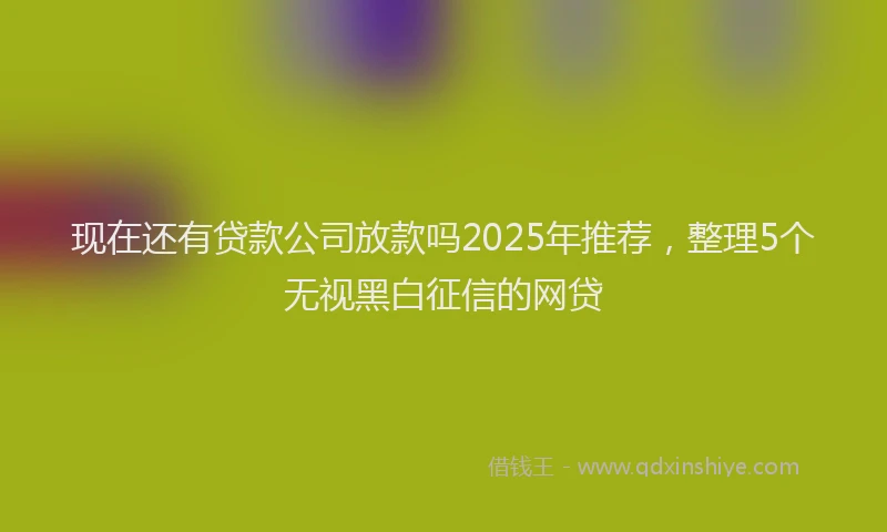 现在还有贷款公司放款吗2025年推荐，整理5个无视黑白征信的网贷