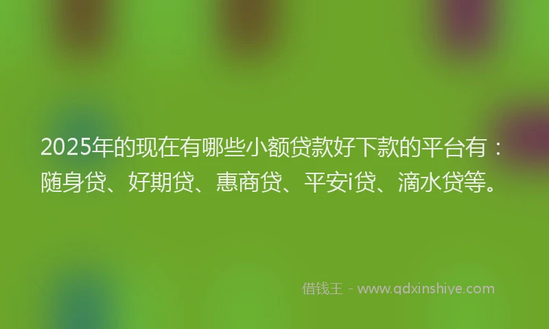 2025年的现在有哪些小额贷款好下款的平台有：随身贷、好期贷、惠商贷、平安i贷、滴水贷等。