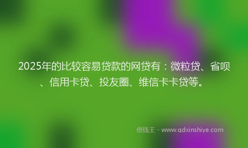 2025年的比较容易贷款的网贷有：微粒贷、省呗、信用卡贷、投友圈、维信卡卡贷等。