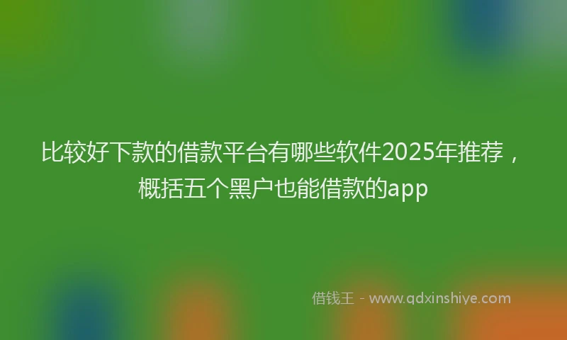 比较好下款的借款平台有哪些软件2025年推荐，概括五个黑户也能借款的app