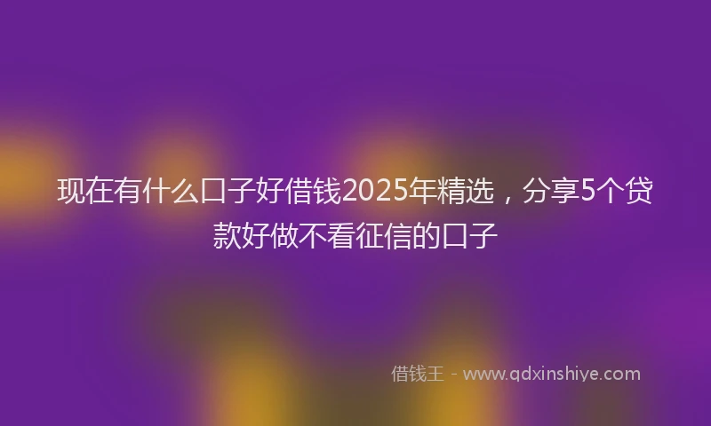 现在有什么口子好借钱2025年精选，分享5个贷款好做不看征信的口子