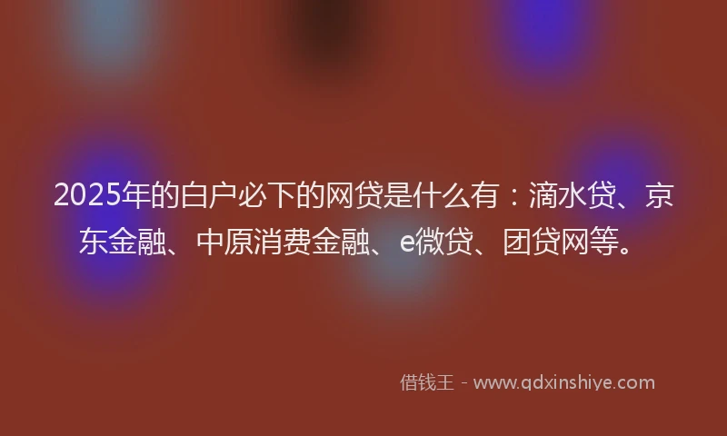 2025年的白户必下的网贷是什么有：滴水贷、京东金融、中原消费金融、e微贷、团贷网等。
