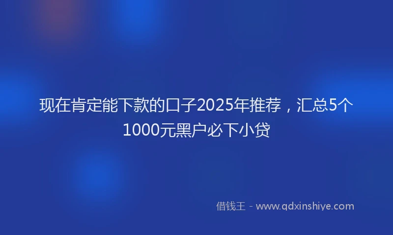 现在肯定能下款的口子2025年推荐，汇总5个1000元黑户必下小贷