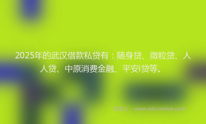 2025年的武汉借款私贷有：随身贷、微粒贷、人人贷、中原消费金融、平安i贷等。
