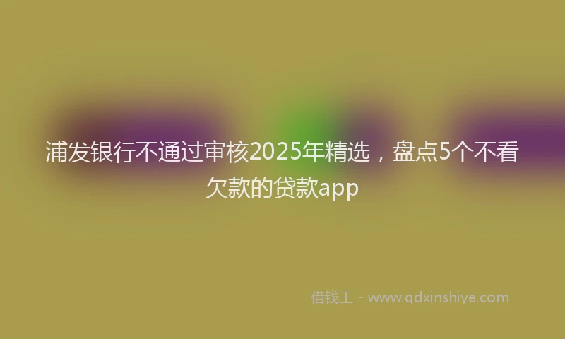 浦发银行不通过审核2025年精选，盘点5个不看欠款的贷款app