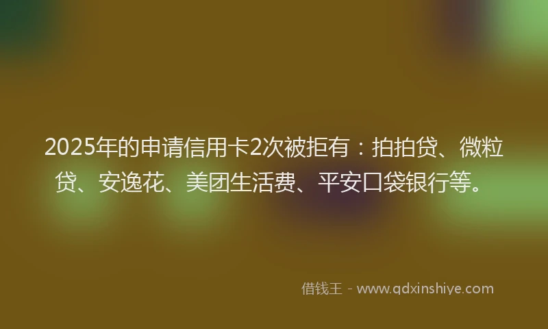 2025年的申请信用卡2次被拒有：拍拍贷、微粒贷、安逸花、美团生活费、平安口袋银行等。
