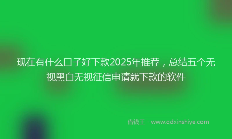 现在有什么口子好下款2025年推荐，总结五个无视黑白无视征信申请就下款的软件