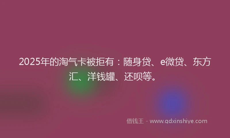 2025年的淘气卡被拒有：随身贷、e微贷、东方汇、洋钱罐、还呗等。