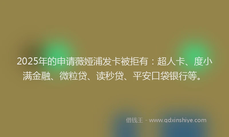 2025年的申请薇娅浦发卡被拒有：超人卡、度小满金融、微粒贷、读秒贷、平安口袋银行等。