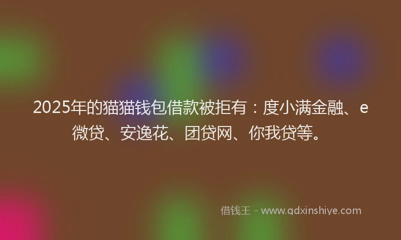2025年的猫猫钱包借款被拒有：度小满金融、e微贷、安逸花、团贷网、你我贷等。