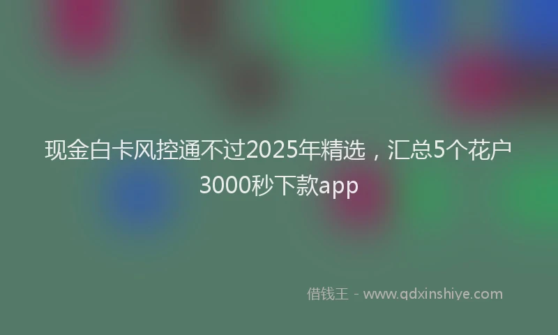 现金白卡风控通不过2025年精选，汇总5个花户3000秒下款app