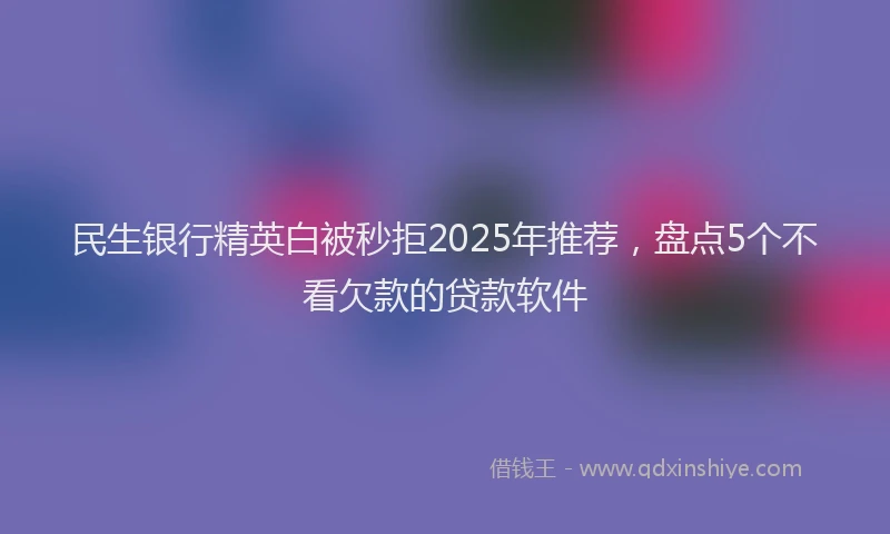 民生银行精英白被秒拒2025年推荐，盘点5个不看欠款的贷款软件
